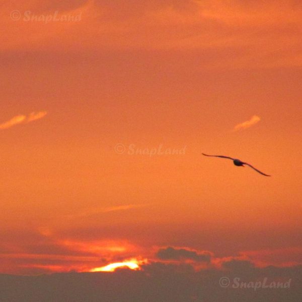 1-2402150000215